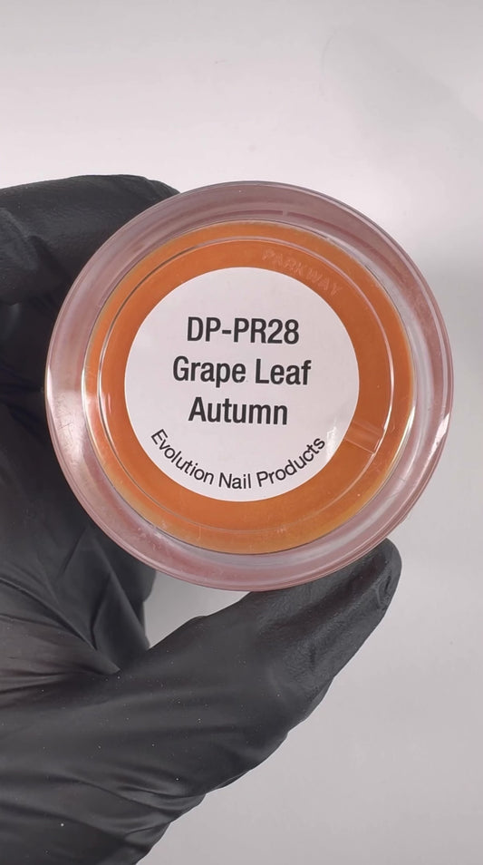 Powder DP-PR28 Grape Leaf Autumn